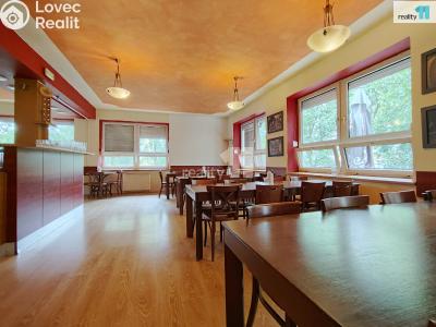 Pronájem komerční nemovitosti Kolín, Slovenská 1040 č. 18