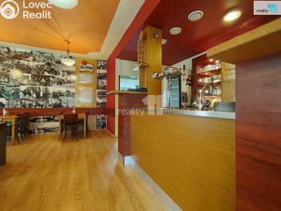 Pronájem komerční nemovitosti Kolín, Slovenská 1040 č. 19