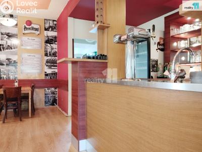 Pronájem komerční nemovitosti Kolín, Slovenská 1040 č. 20