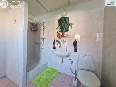 Pronájem atypického bytu Týniště nad Orlicí, Vrchlického 399 č. 8