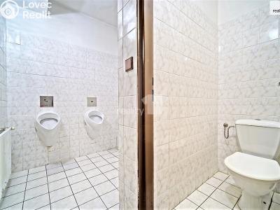 Prodej komerční nemovitosti Provodov-Šonov č. 7