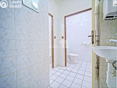 Prodej komerční nemovitosti Provodov-Šonov č. 8