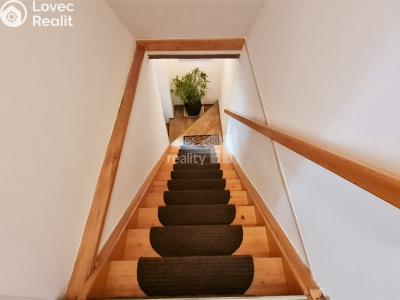 Prodej komerční nemovitosti Provodov-Šonov č. 10