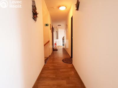 Prodej komerční nemovitosti Provodov-Šonov č. 11