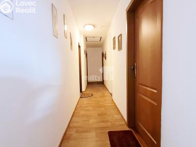 Prodej komerční nemovitosti Provodov-Šonov č. 12