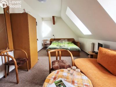 Prodej komerční nemovitosti Provodov-Šonov č. 14