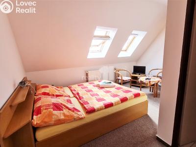 Prodej komerční nemovitosti Provodov-Šonov č. 16