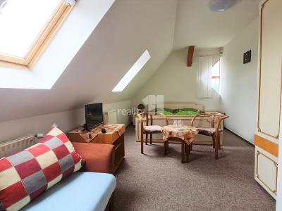 Prodej komerční nemovitosti Provodov-Šonov č. 17