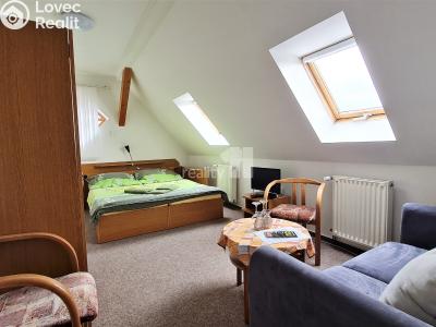 Prodej komerční nemovitosti Provodov-Šonov č. 18