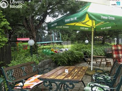 Prodej komerční nemovitosti Provodov-Šonov č. 23