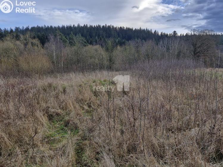 Prodej stavebního pozemku Kynšperk nad Ohří č. 1
