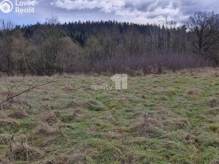 Prodej stavebního pozemku Kynšperk nad Ohří č. 3