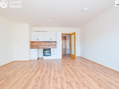 Pronájem bytu 1+KK Liberec, Tovární č. 5