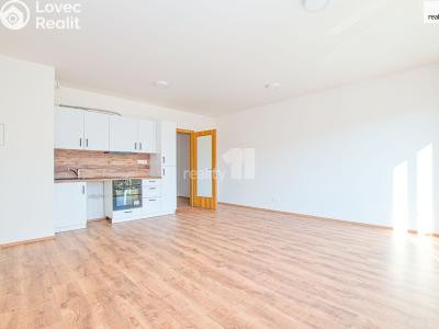 Pronájem bytu 1+KK Liberec, Tovární č. 2