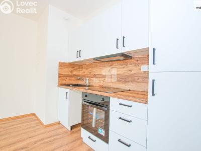 Pronájem bytu 1+KK Liberec, Tovární č. 8