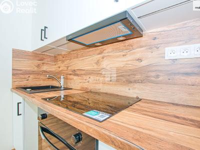 Pronájem bytu 1+KK Liberec, Tovární č. 9