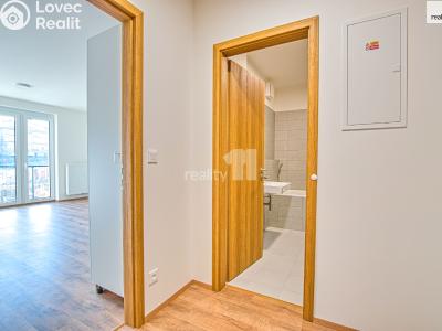 Pronájem bytu 1+KK Liberec, Tovární č. 13