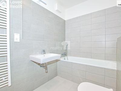 Pronájem bytu 1+KK Liberec, Tovární č. 15