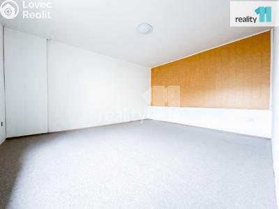 Pronájem bytu 3+KK Kroměříž, Riegrovo náměstí č. 5