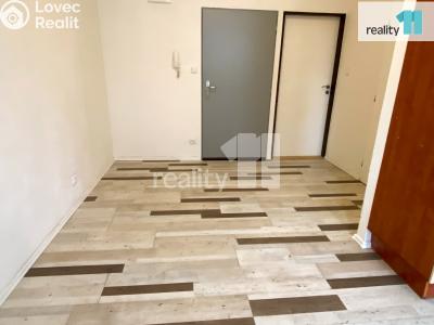 Pronájem bytu 2+KK Dobřany, Palackého 693 č. 6