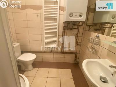 Pronájem bytu 2+KK Dobřany, Palackého 693 č. 7