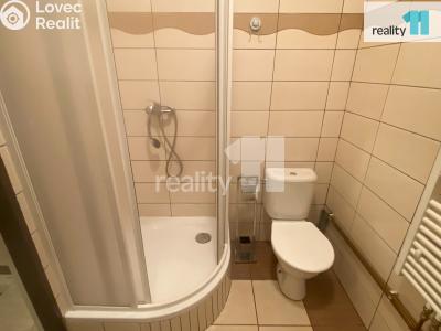 Pronájem bytu 2+KK Dobřany, Palackého 693 č. 8