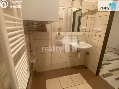 Pronájem bytu 2+KK Dobřany, Palackého 693 č. 9