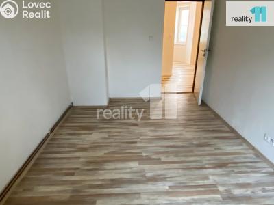 Pronájem bytu 2+KK Dobřany, Palackého 693 č. 11