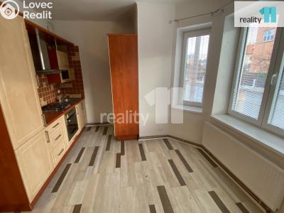 Pronájem bytu 2+KK Dobřany, Palackého 693 č. 13