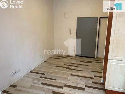 Pronájem bytu 2+KK Dobřany, Palackého 693 č. 14