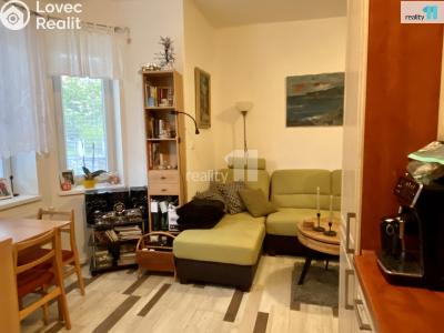 Pronájem bytu 2+KK Dobřany, Palackého 693 č. 24