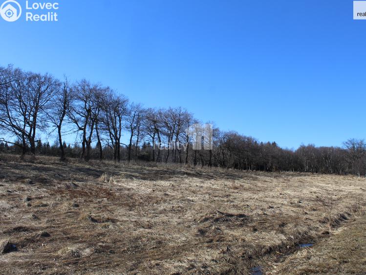 Prodej stavebního pozemku Moldava č. 2