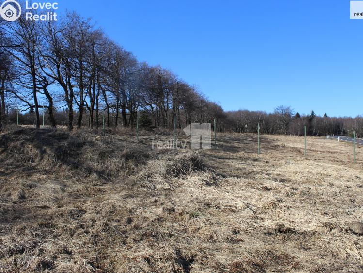 Prodej stavebního pozemku Moldava č. 3