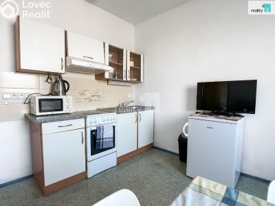 Pronájem bytu 2+1 Záříčí č. 1