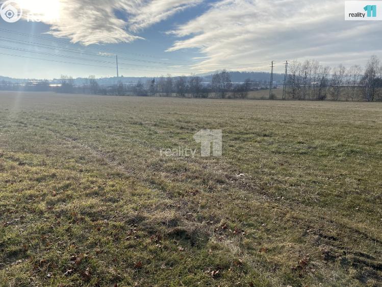 Prodej pole Trhové Dušníky č. 4