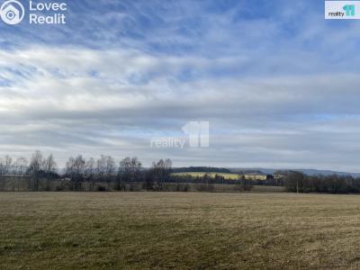 Prodej pole Trhové Dušníky č. 2