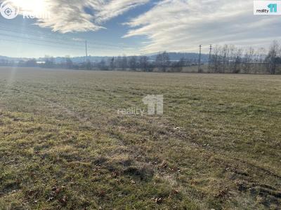 Prodej pole Trhové Dušníky č. 4