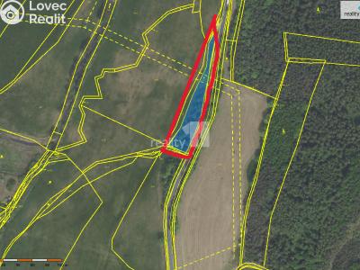 Prodej pole Trhové Dušníky č. 1