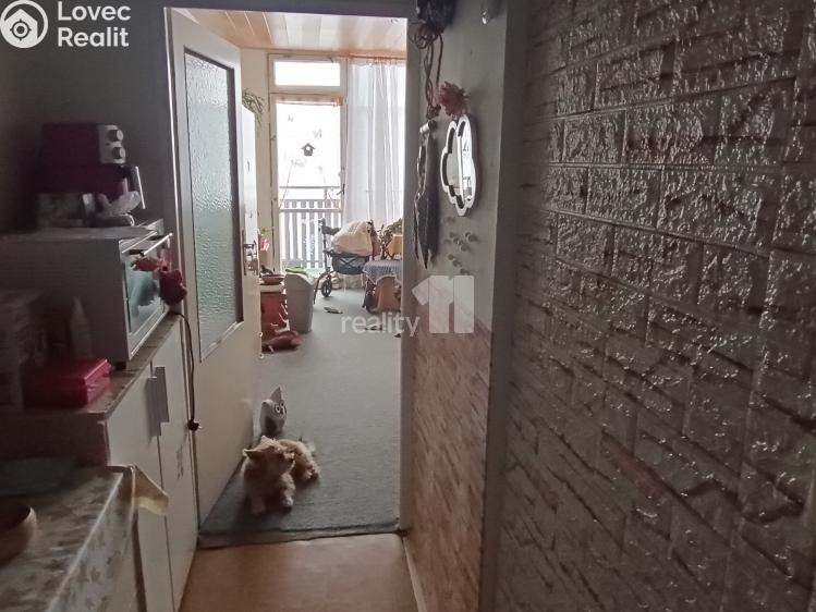 Pronájem bytu 1+KK Nový Bor, Svojsíkova 753 č. 4