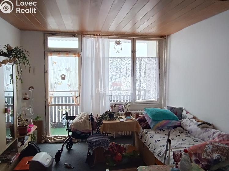 Pronájem bytu 1+KK Nový Bor, Svojsíkova 753 č. 5