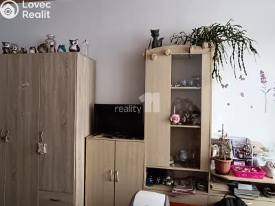 Pronájem bytu 1+KK Nový Bor, Svojsíkova 753 č. 6