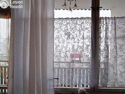 Pronájem bytu 1+KK Nový Bor, Svojsíkova 753 č. 7