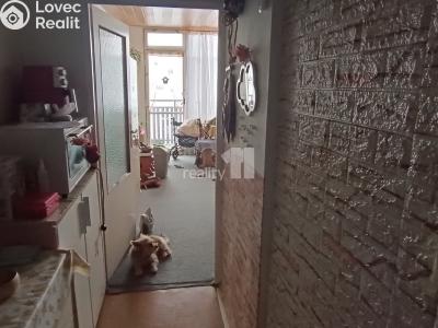 Pronájem bytu 1+KK Nový Bor, Svojsíkova 753 č. 4