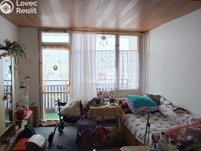 Pronájem bytu 1+KK Nový Bor, Svojsíkova 753 č. 5