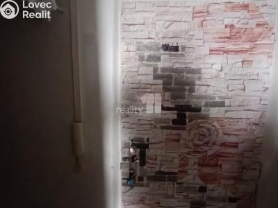 Pronájem bytu 1+KK Nový Bor, Svojsíkova 753 č. 9