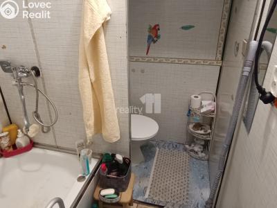 Pronájem bytu 1+KK Nový Bor, Svojsíkova 753 č. 10