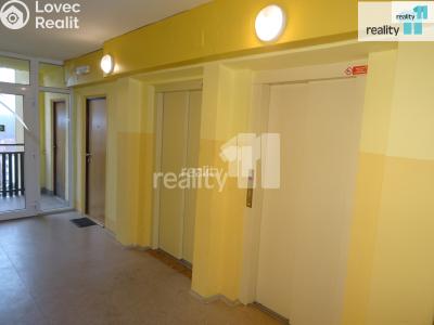 Pronájem bytu 1+KK Nový Bor, Svojsíkova 753 č. 11