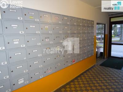 Pronájem bytu 1+KK Nový Bor, Svojsíkova 753 č. 12