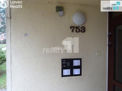 Pronájem bytu 1+KK Nový Bor, Svojsíkova 753 č. 13