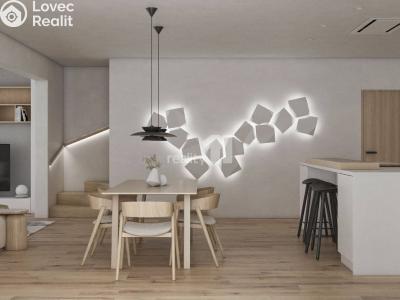 Pronájem rodinného domu Kladno, Pechlátova 640 č. 11